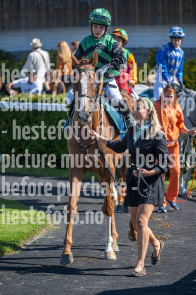 20250824-131447-DSC1823
