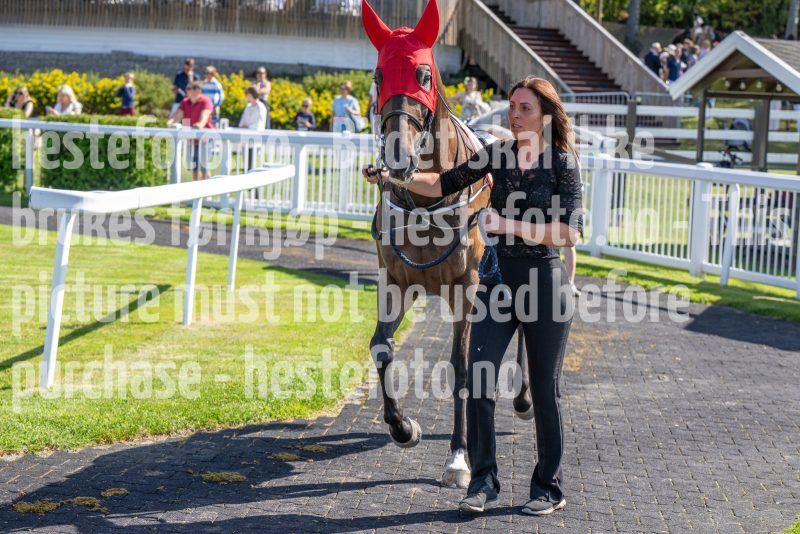 20250824-133619-DSC_6625