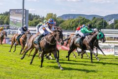 20250824-132315-DSC_6165
