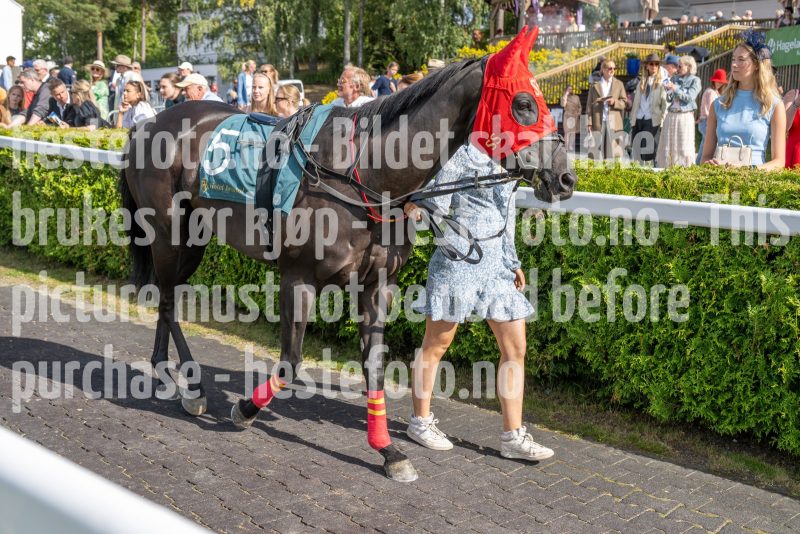 20250824-150216-DSC_0064