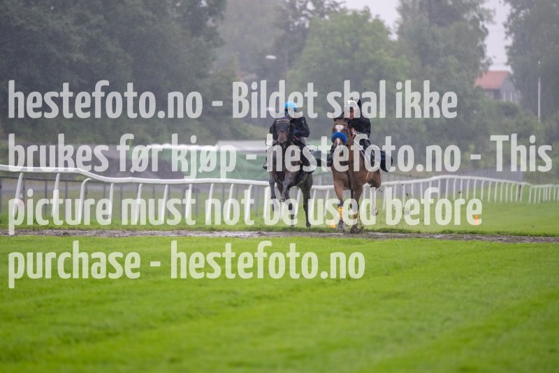 20230815-090244-DSC_5259