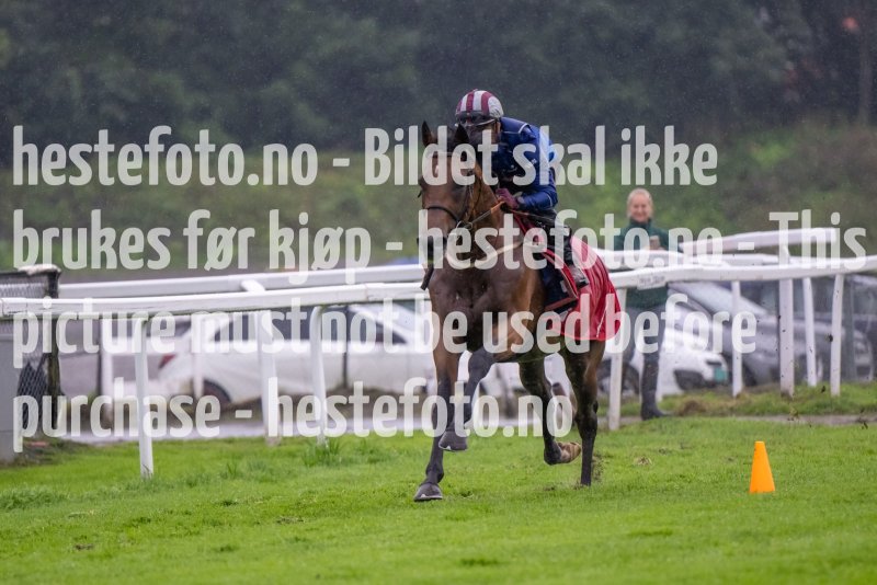 20230815-090750-DSC_5491