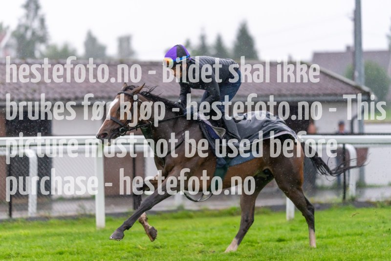 20220816-065930-EKE2381