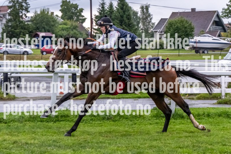 20220816-073320-DSC7459