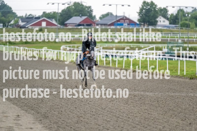 20220816-074346-DSC7553