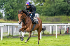 20220816-090658-DSC8274