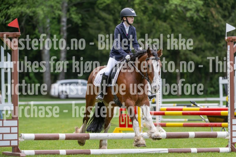 20250511-094516-292-DSC_2588