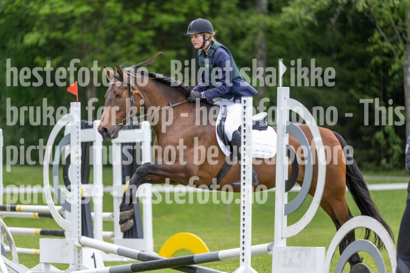 20250511-094733-z7-_DSC9449