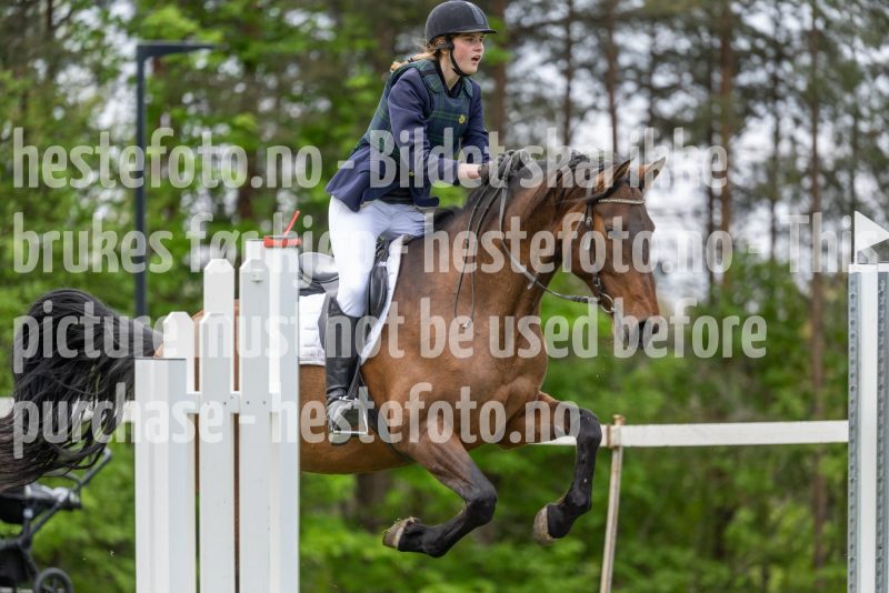 20250511-094840-z7-_DSC9469