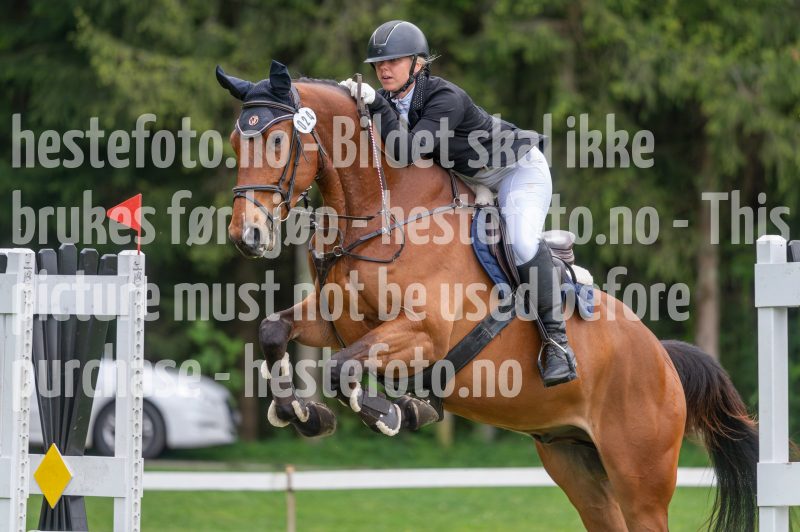 20250511-121843-z6-DSC_9857