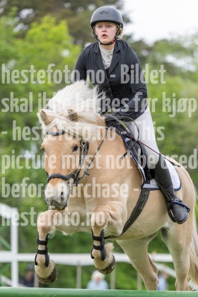 20250511-122015-z7-_DSC0448
