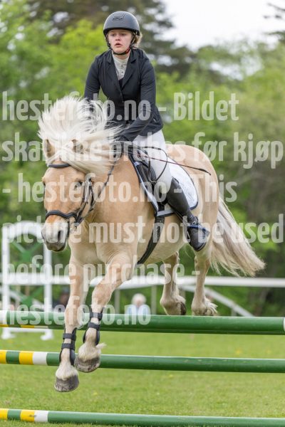 20250511-122015-z7-_DSC0449