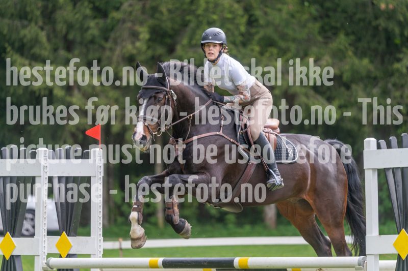 20250511-130215-z6-DSC_0139