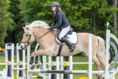 20250511-122000-z7-_DSC0441
