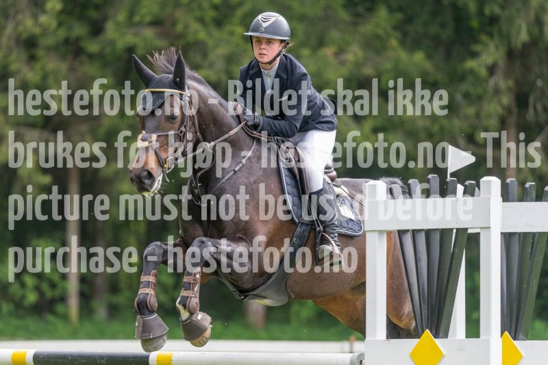 20250511-133213-z6-DSC_0360