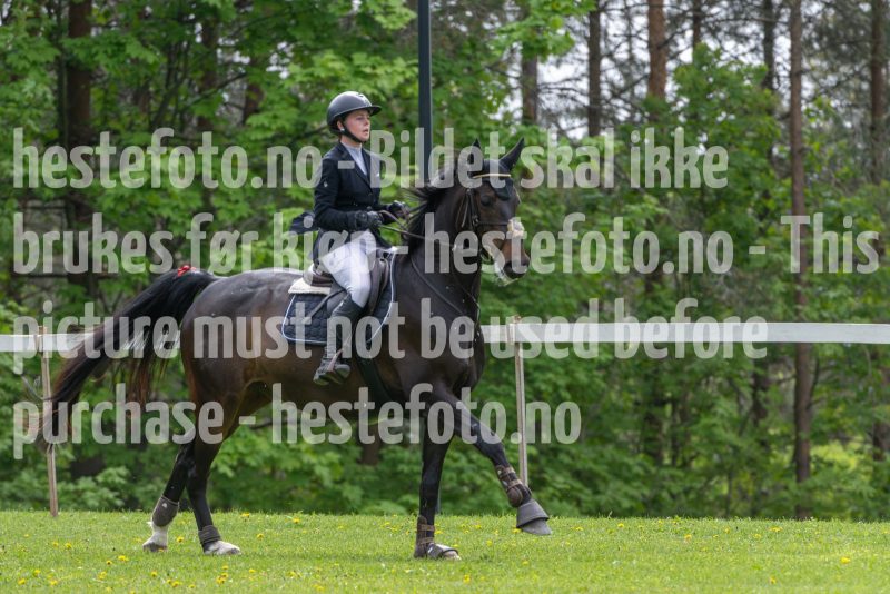 20250511-133636-295-DSC_9689