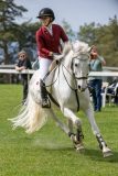 20250511-131134-295-DSC_8274