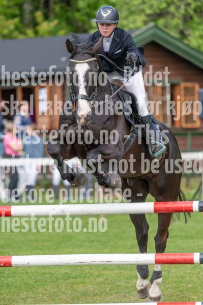 20250511-140405-z6-DSC_0544