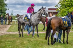 20260726-133812-DSC_9411