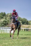 20260809-143808-DSC_0825