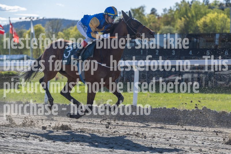 20260507-173339-DSC1542