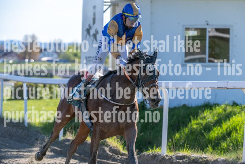 20260507-173514-DSC_0137