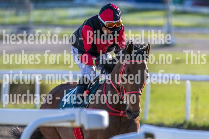 20260507-183538-DSC_1084