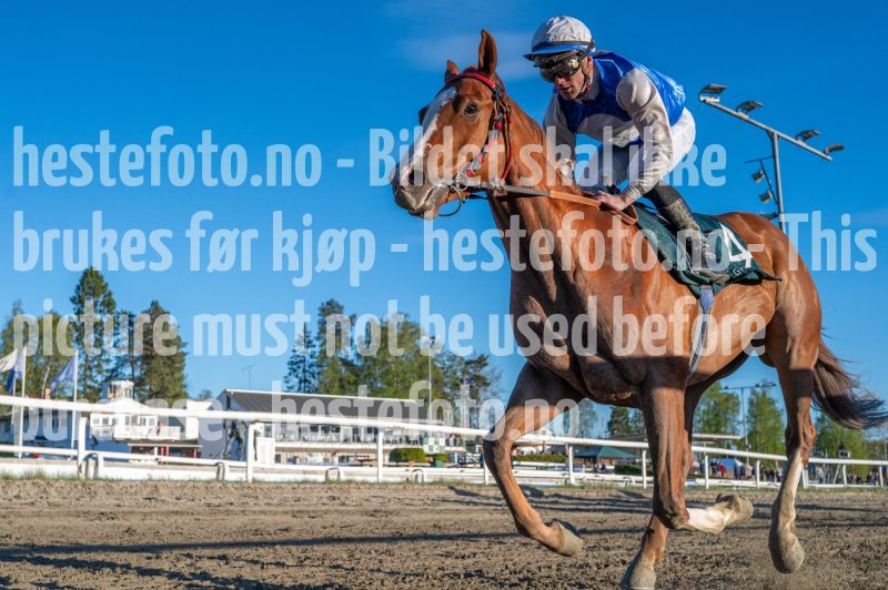 20260507-200010-DSC_2945-2