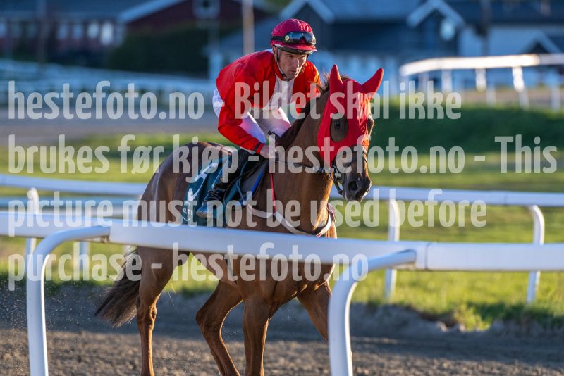 20260507-201724-DSC_3795