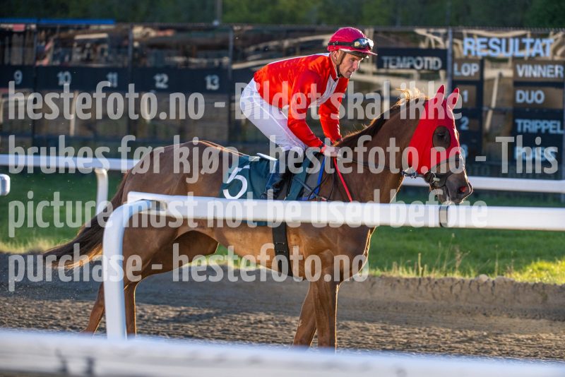 20260507-201727-DSC_3822