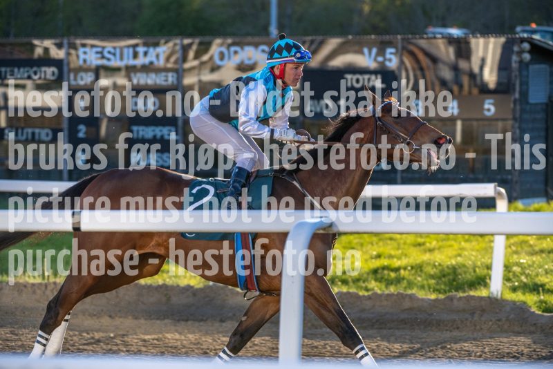 20260507-201800-DSC_3886
