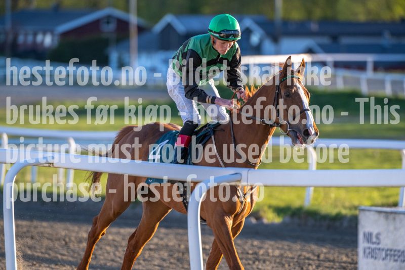 20260507-201815-DSC_3974