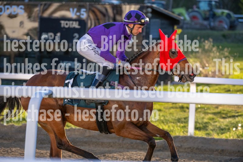 20260507-201850-DSC_4072