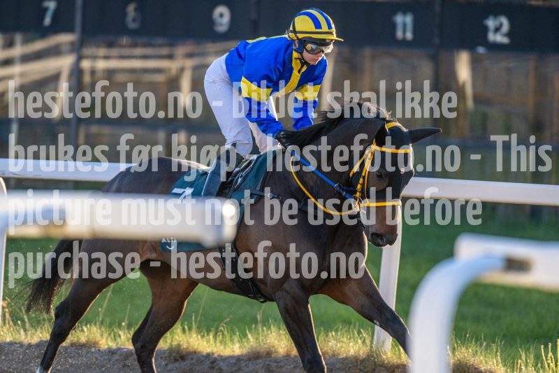 20260507-201902-DSC_4097