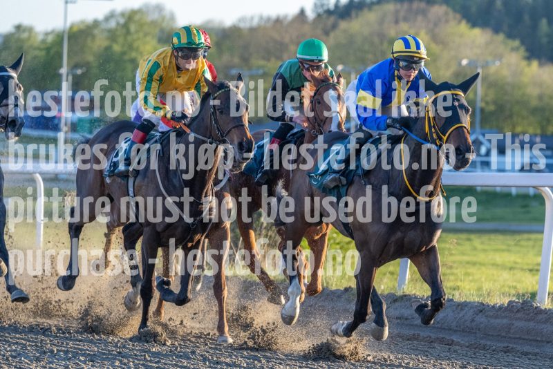 20260507-202544-DSC2733