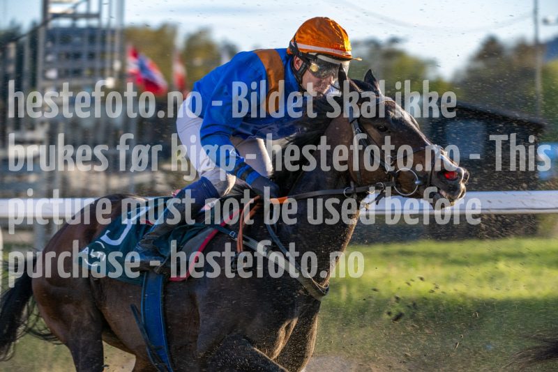 20260507-202546-DSC_4279