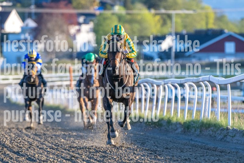 20260507-202710-DSC_4334
