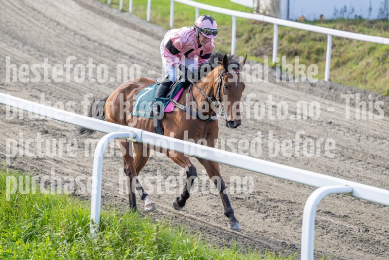 20251012-130737-DSC_5165