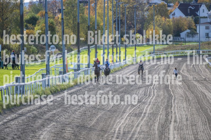 20251012-142353-DSC_6291