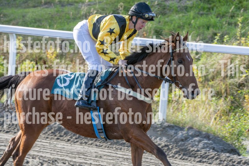 20251012-142457-DSC_6603