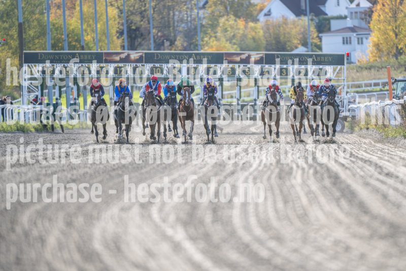 20251012-143051-DSC_6648