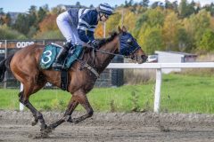 20251012-131316-DSC_5356
