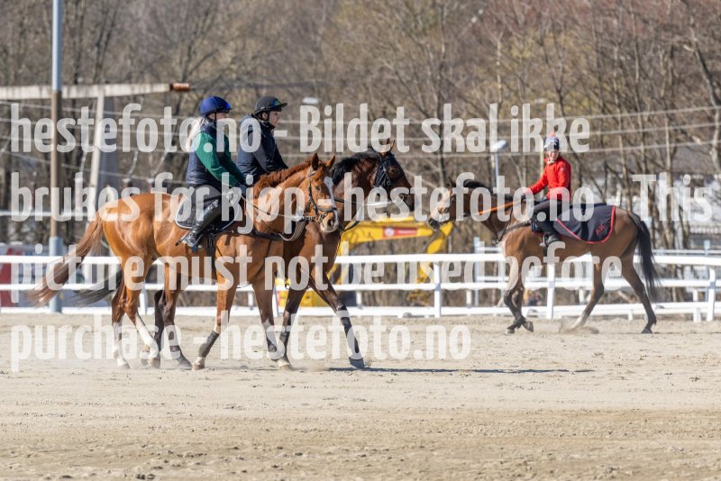 20220410-130608-DSC8719