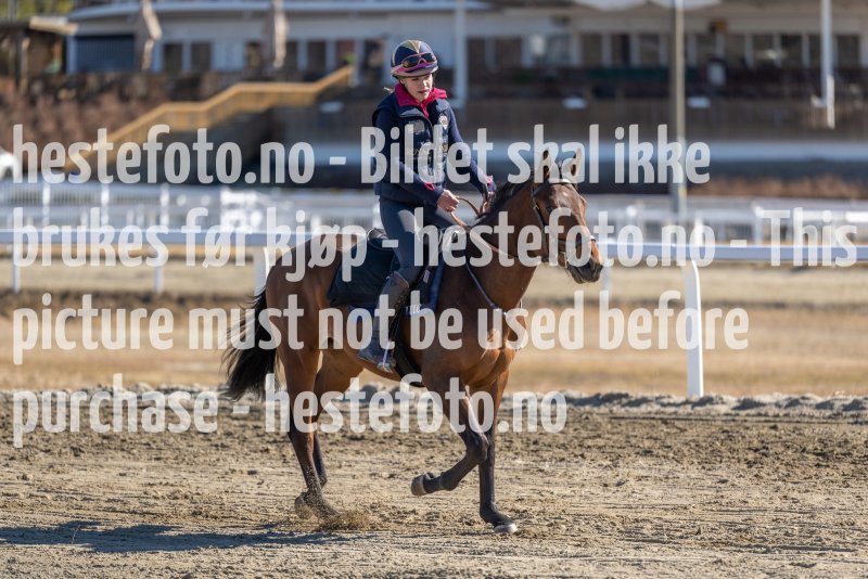 20220410-132135-DSC8827