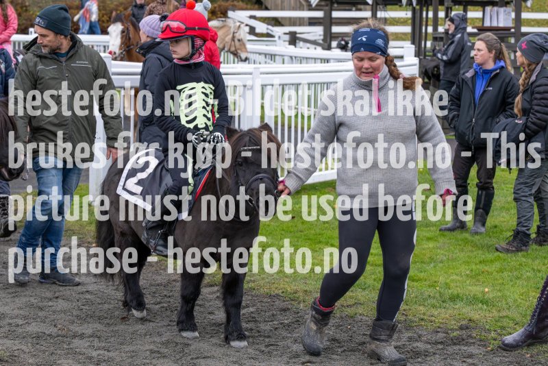 20231105-154024-DSC_6912-2