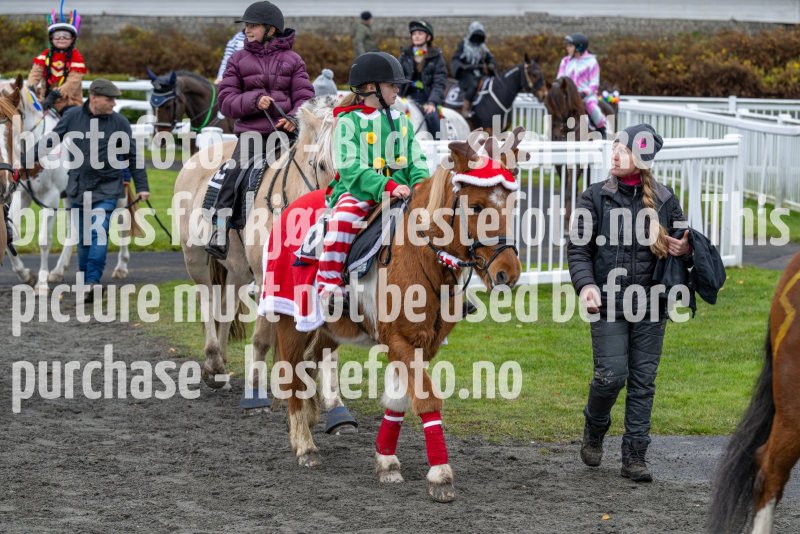 20231105-154041-DSC_6990-2