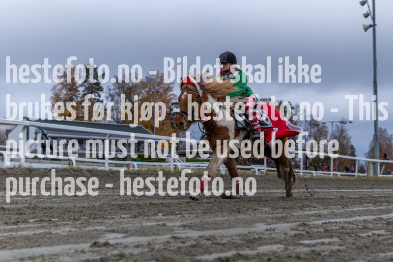 20231105-154103-YNE00499