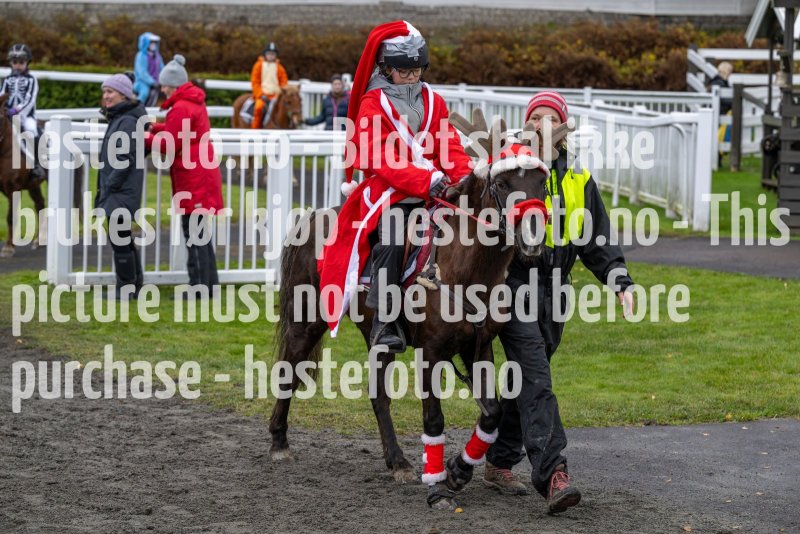 20231105-154109-DSC_7174-2