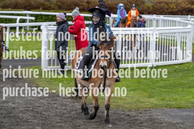 20231105-154113-DSC_7200-2