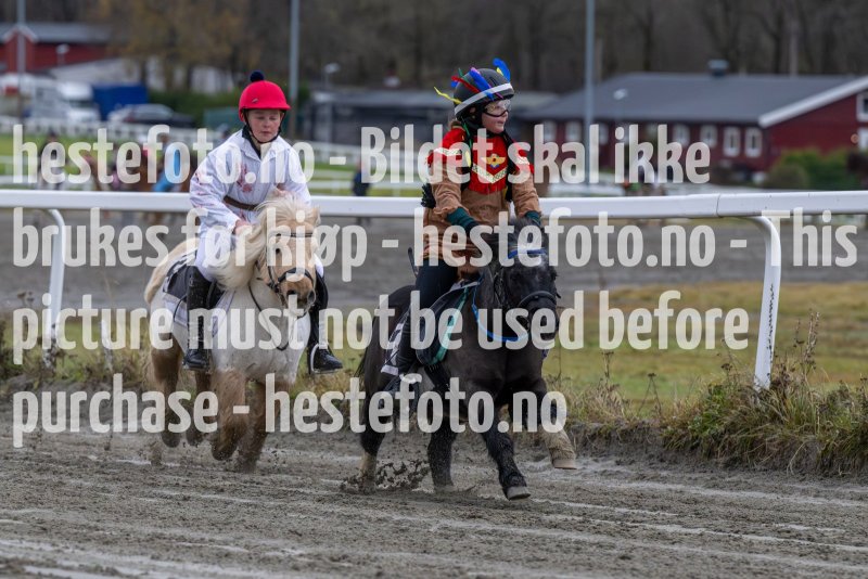 20231105-154443-DSC_7362-2